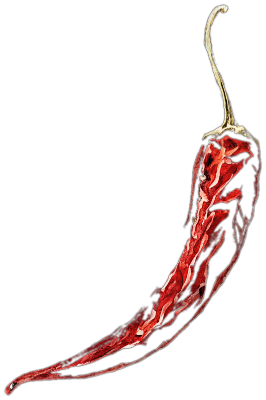 Hand-drawn dried chilli